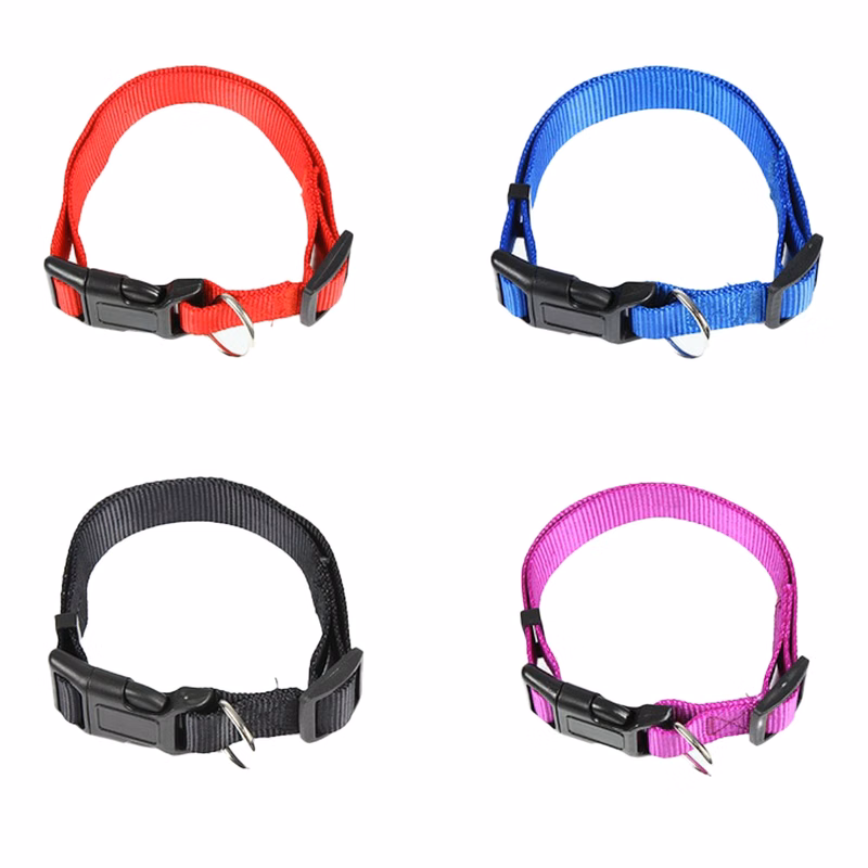 Dog Collar
