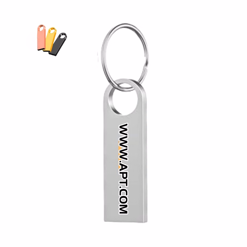 4GB Metal Flash Drives With Keychains