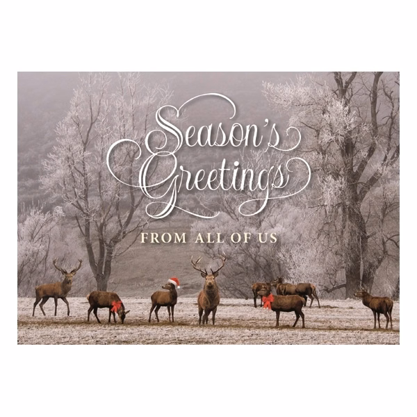 Woodland Magic Holiday Greeting Card