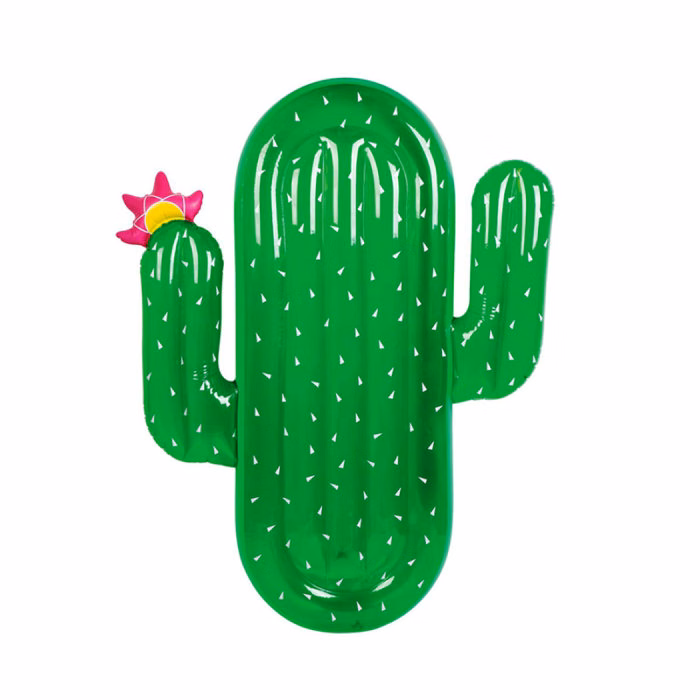 Outdoor Inflatable Cactus Design Pool Float