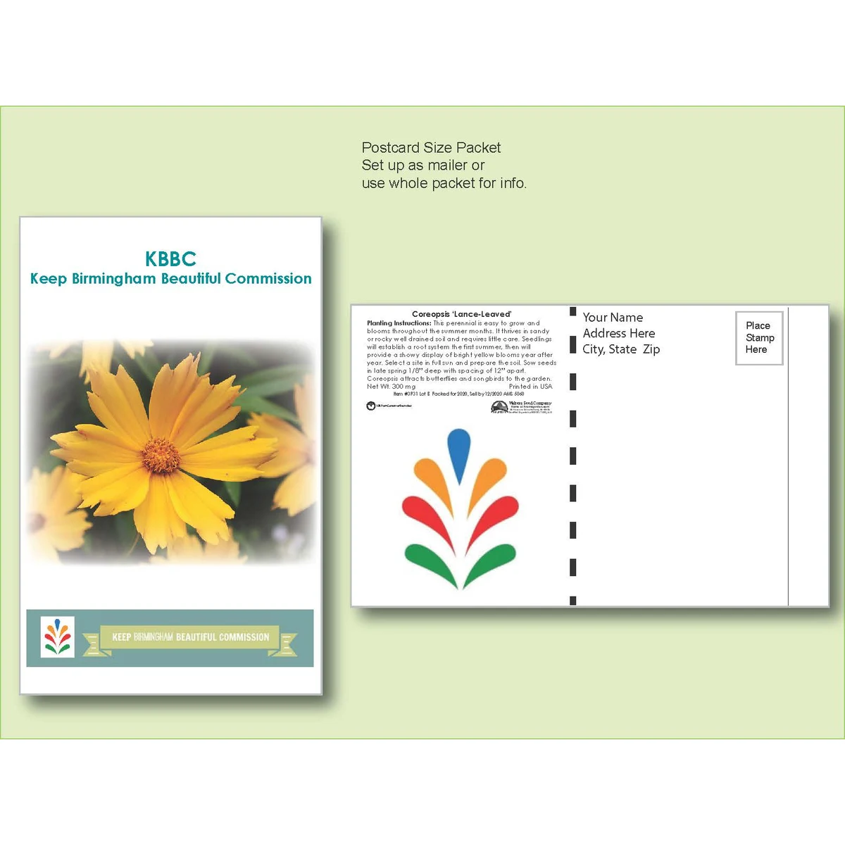 Coreopsis Lance-Leafed Seed Packet - Postcard Mailer Size 4" x 6.5" 1
