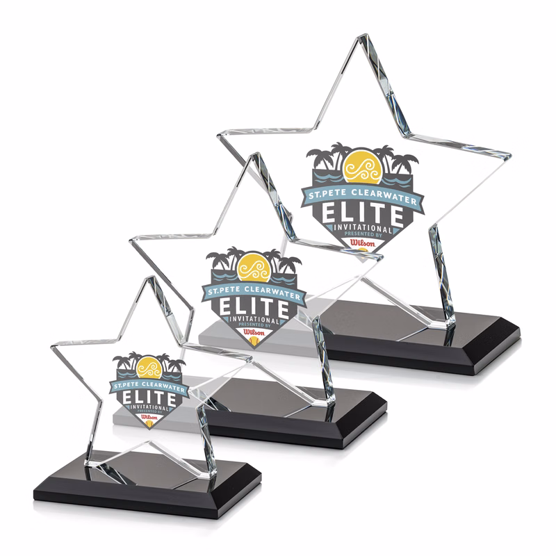 Sudbury Star VividPrint™ Award - Black