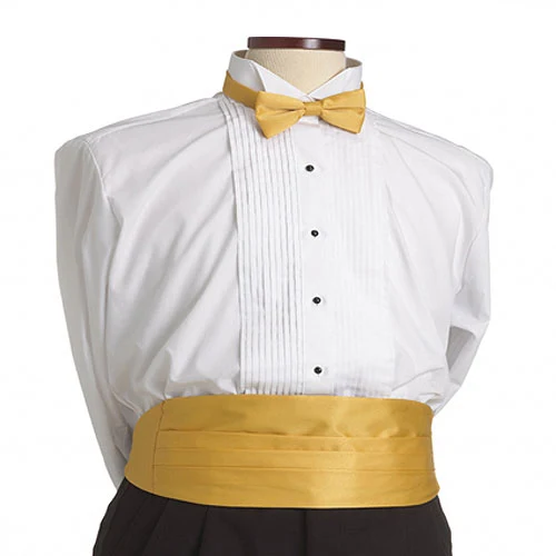 Gold Cummerbund 1