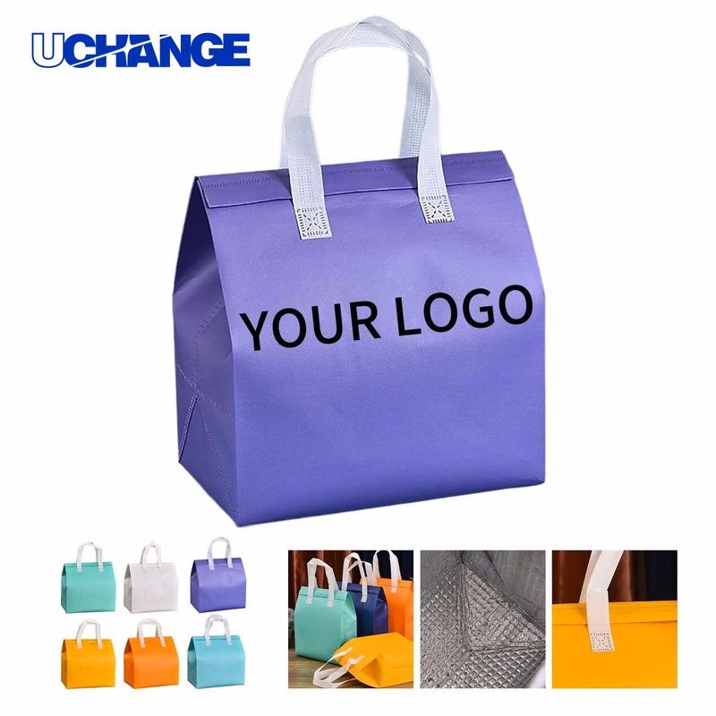 Large Cooler Bag Carrier for Food Storage