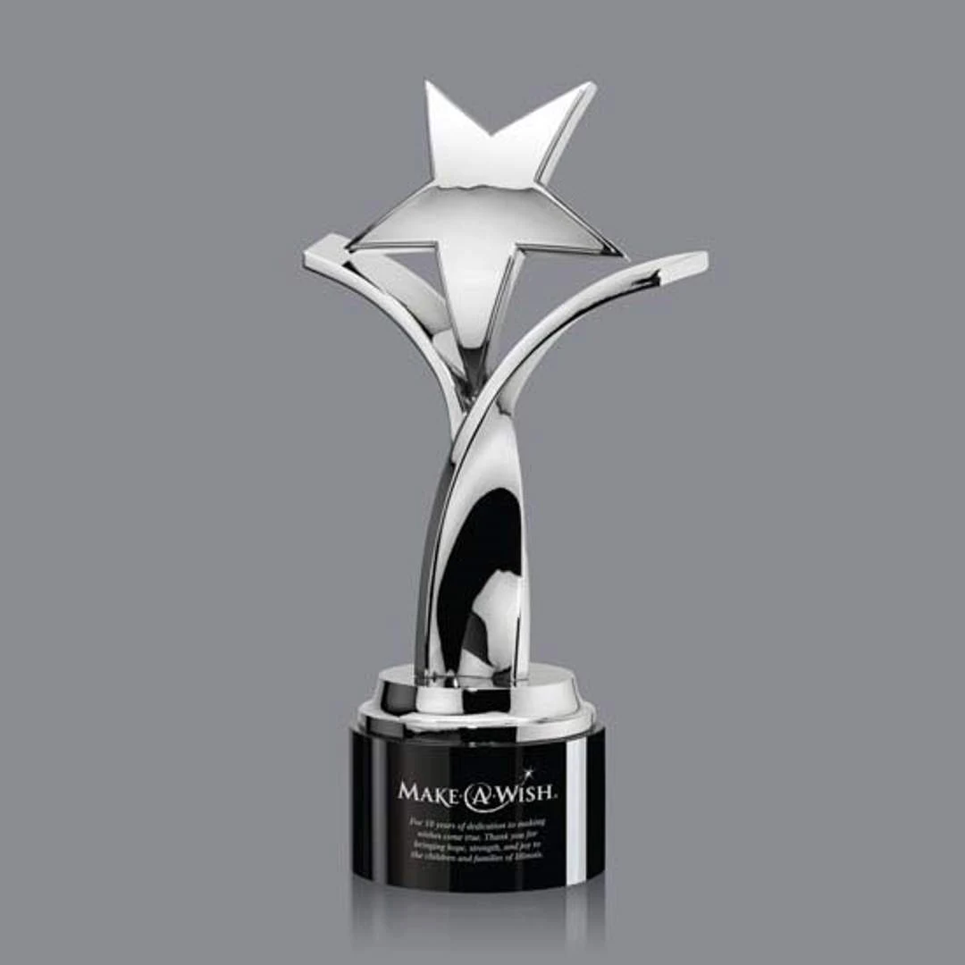 Rosaria Award - Silver 1