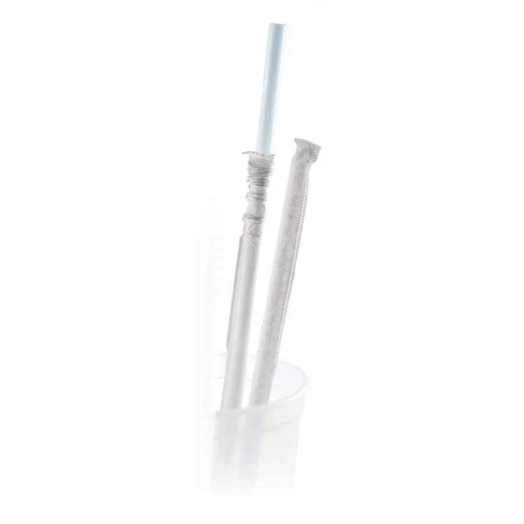 10.250" Disposable Plastic Straw Clear 1