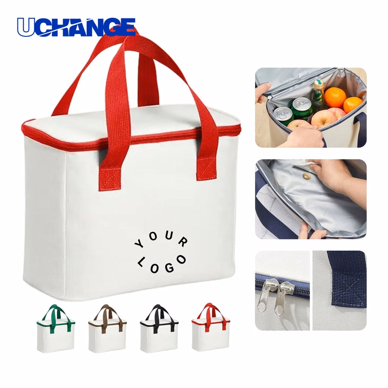 Oxford Insulated Lunch Bag Cooler with Dual Handles
