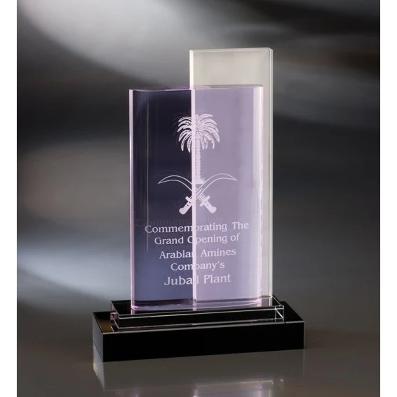 Contemporary Vistas Crystal Vedra Award 1