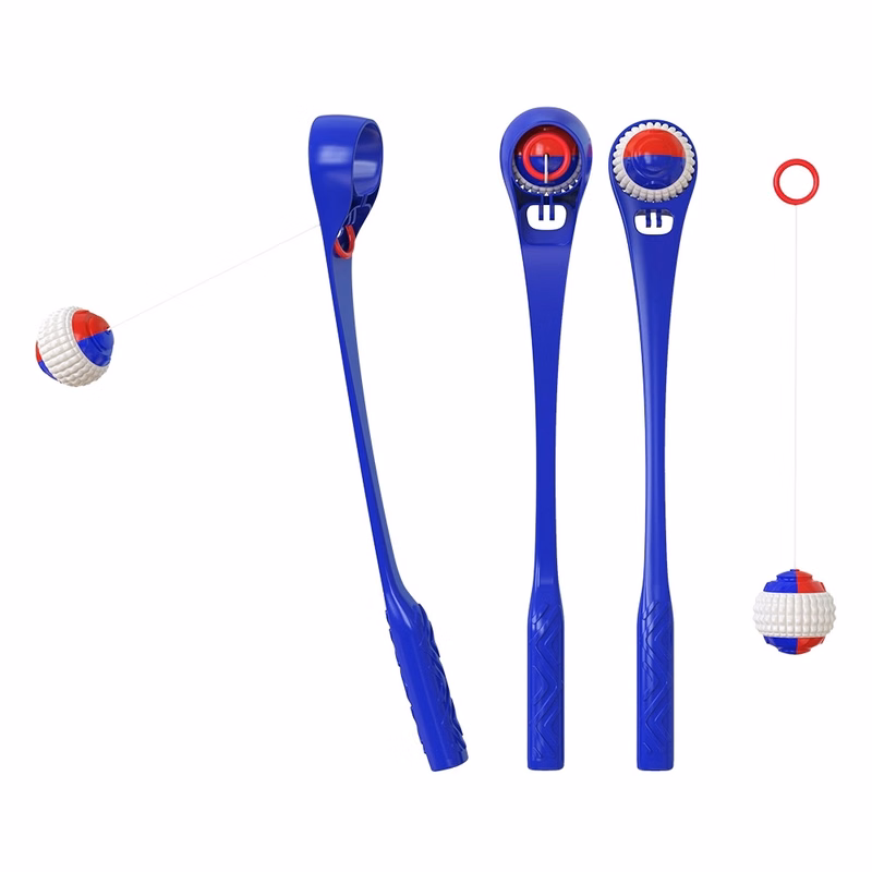 pet training toy