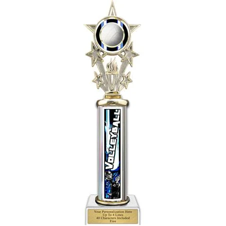 Trophy, 12" Action Matrix Volleyball Blue 1 co 1