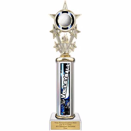 Trophy, 12" Action Matrix Volleyball Blue 1 co