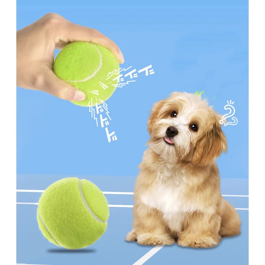Squeaky Tennis Balls 1