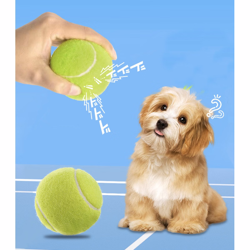 Squeaky Tennis Balls