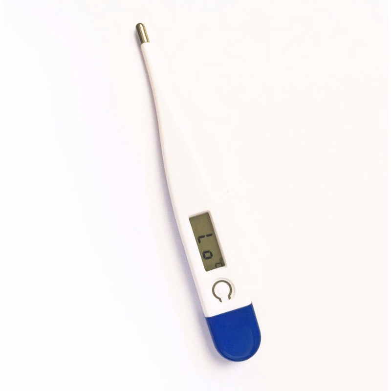 Portable Digital Thermometer