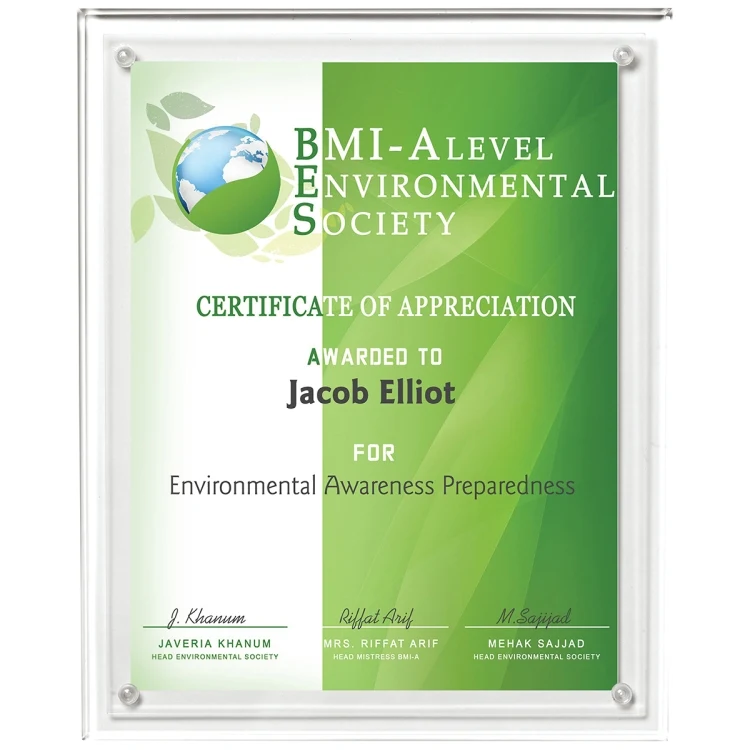 Large Certificate Holder - Clear on Clear - 8" x 10" Insert 1