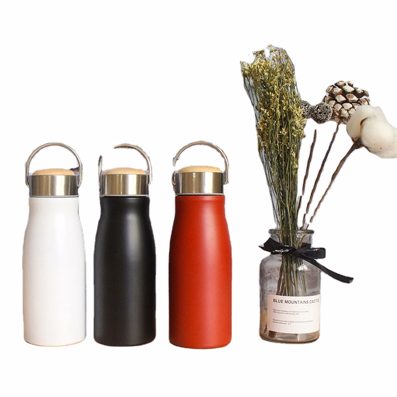 Stainless Steel Bottles