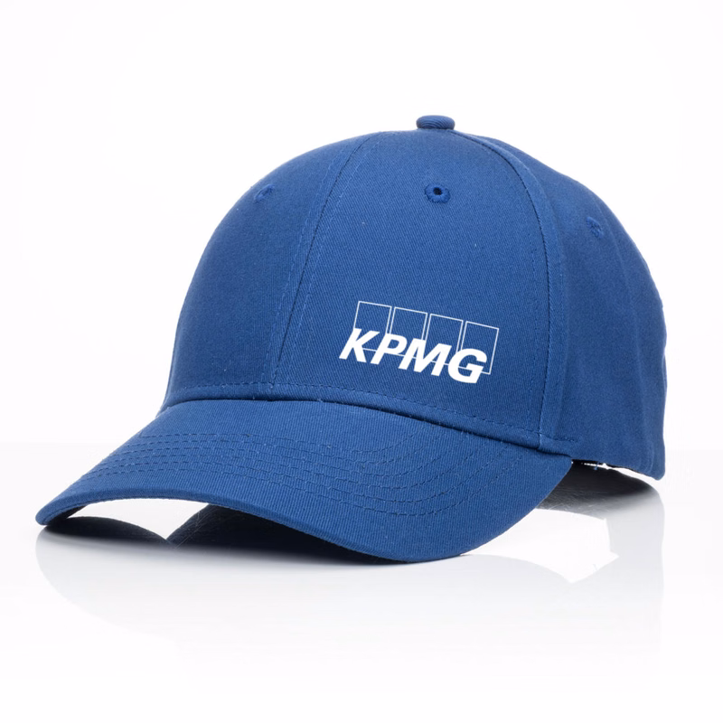6 Panel Structured Hat