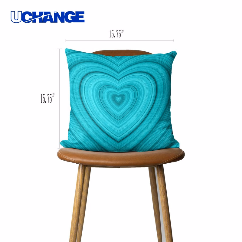 Double Sided Indoor Pillow Kit 15.75 Inch for Decoration
