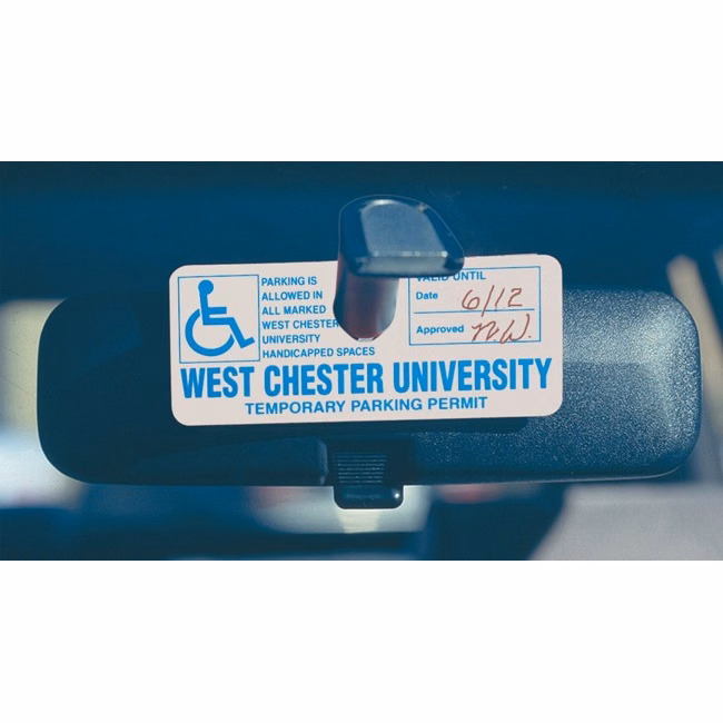 Plastic Security Hang Tag (4 3/4"x2")