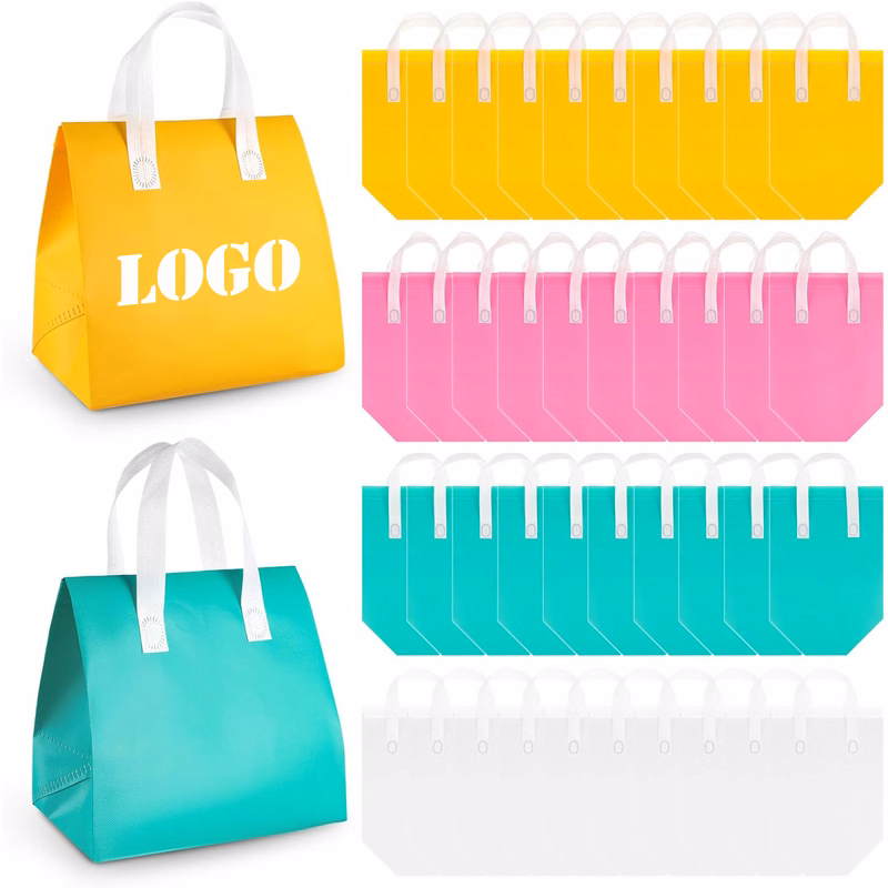 Disposable Non-Woven Insulation Bag