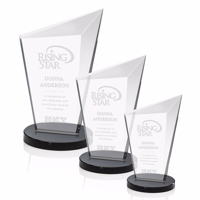 Wiltshire Award - Black