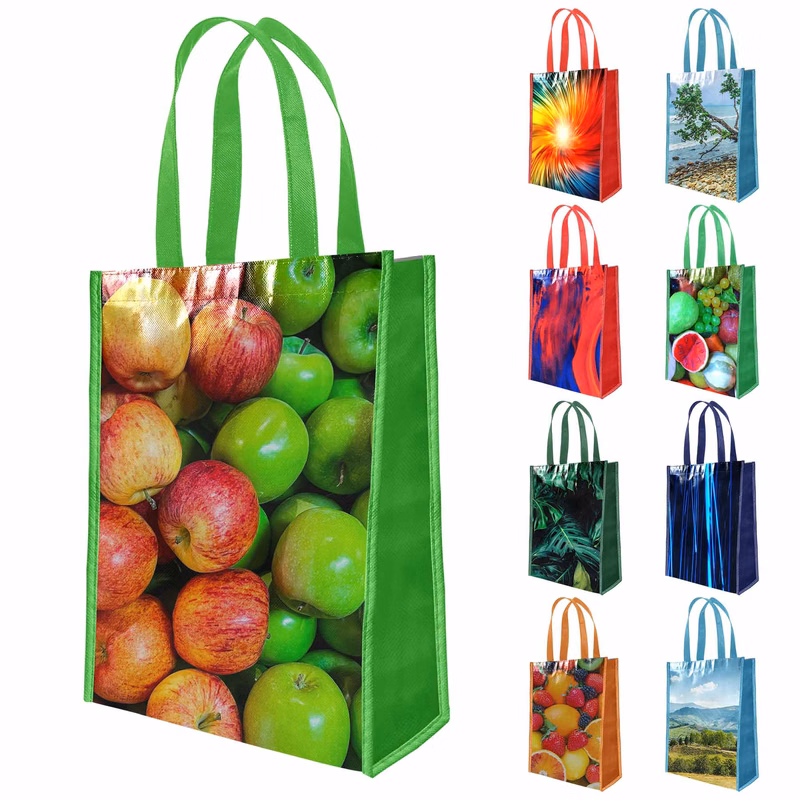 Laminated Grocery Bag