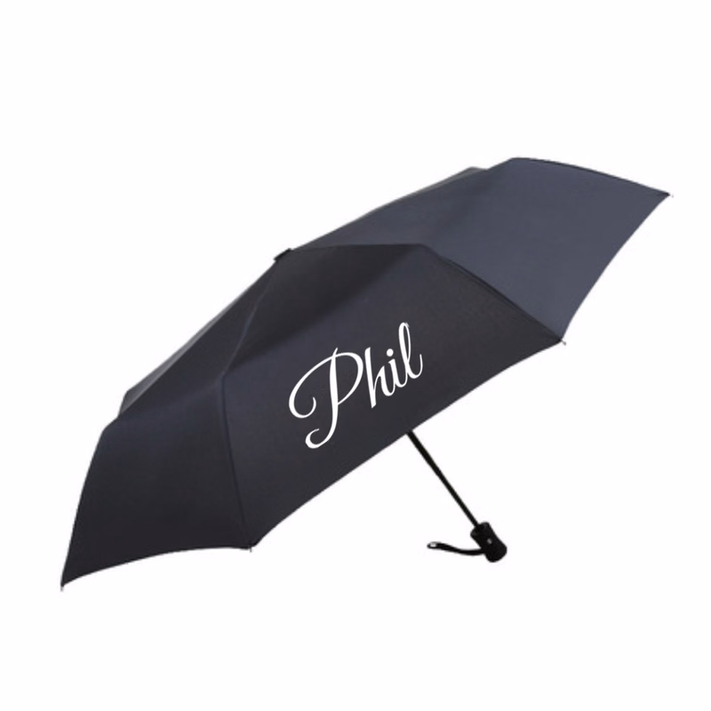 Compact Auto Windproof Travel Umbrella