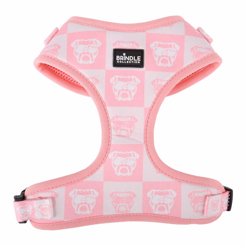 Dog Harness: X-Small