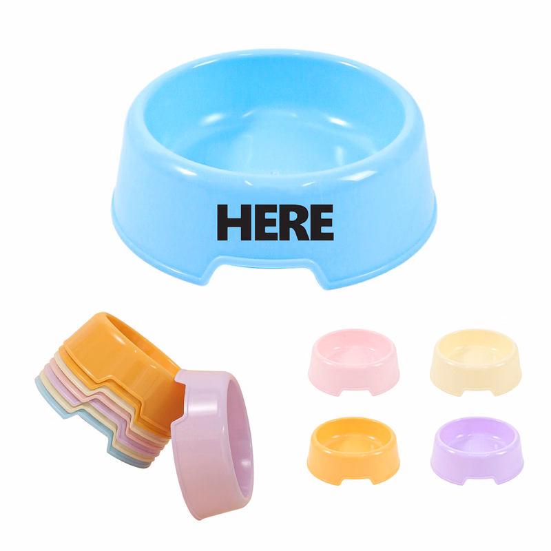 Candy-Colored Dog Food Bowl