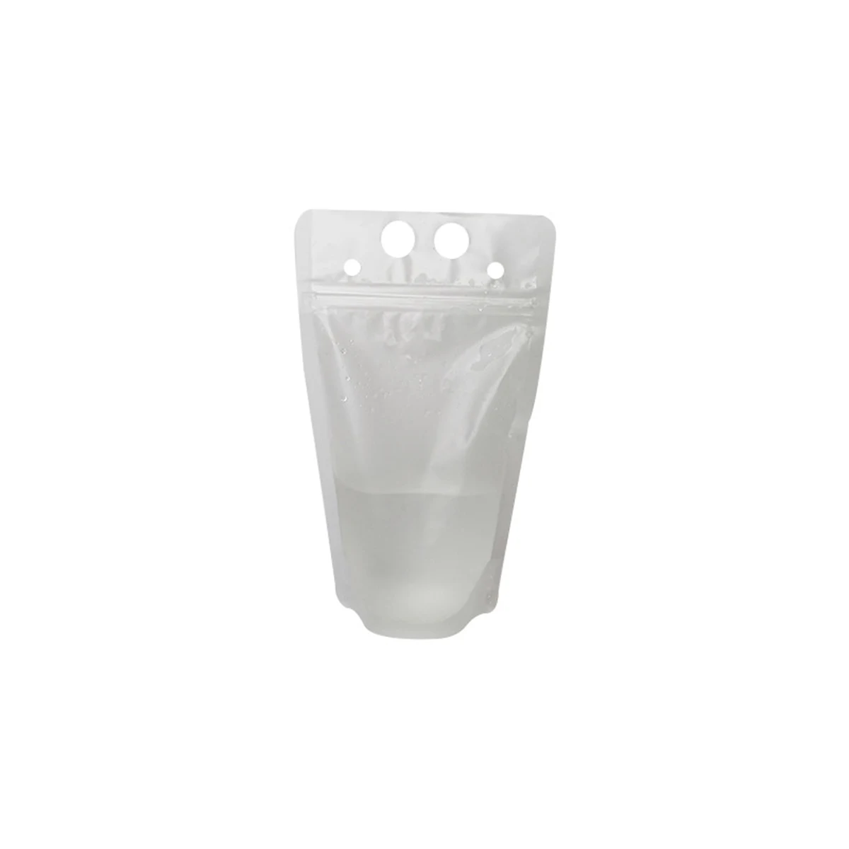 Translucent Plastic Pouch Bag 1