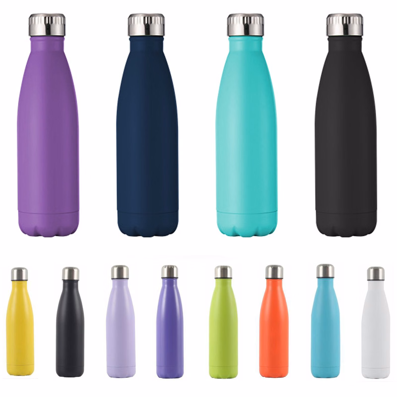 16.9oz Stainless Steel Water Bottle
