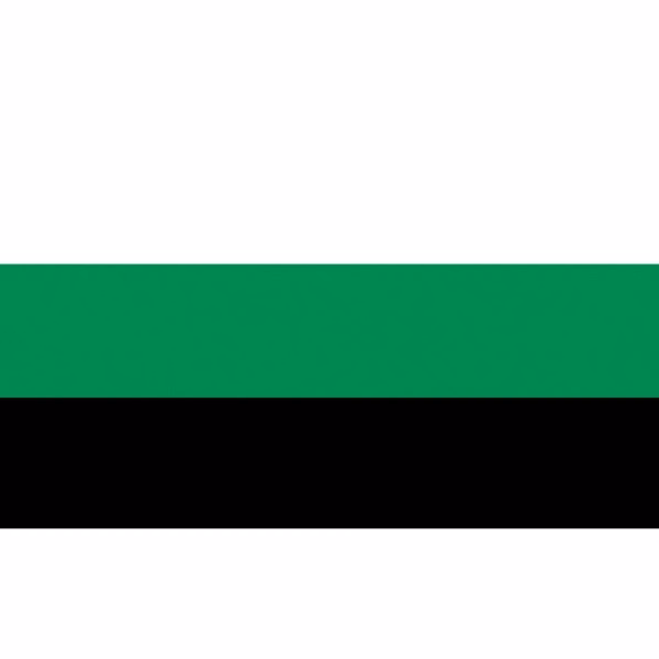 Neutrois Motorcycle Flag