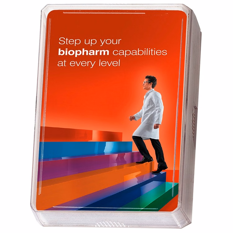 Single Clear Bridge Playing Card Box