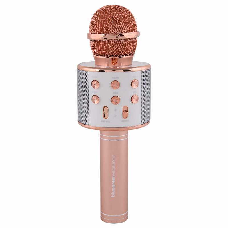 Portable Karaoke Microphone w/ Speaker