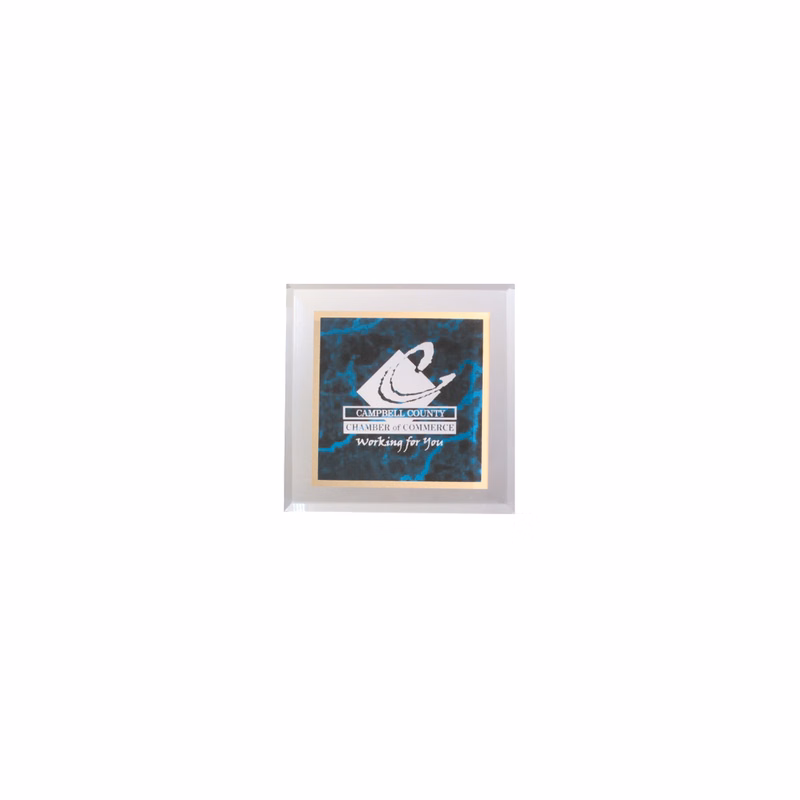 3 3/4" x 3 3/4" Blue Marbleized Acrylic Paperweight