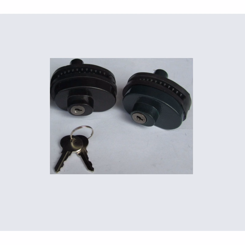 Trigger locks