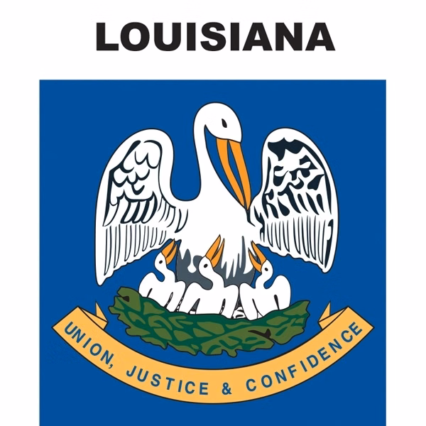 Mini Banner - Louisiana