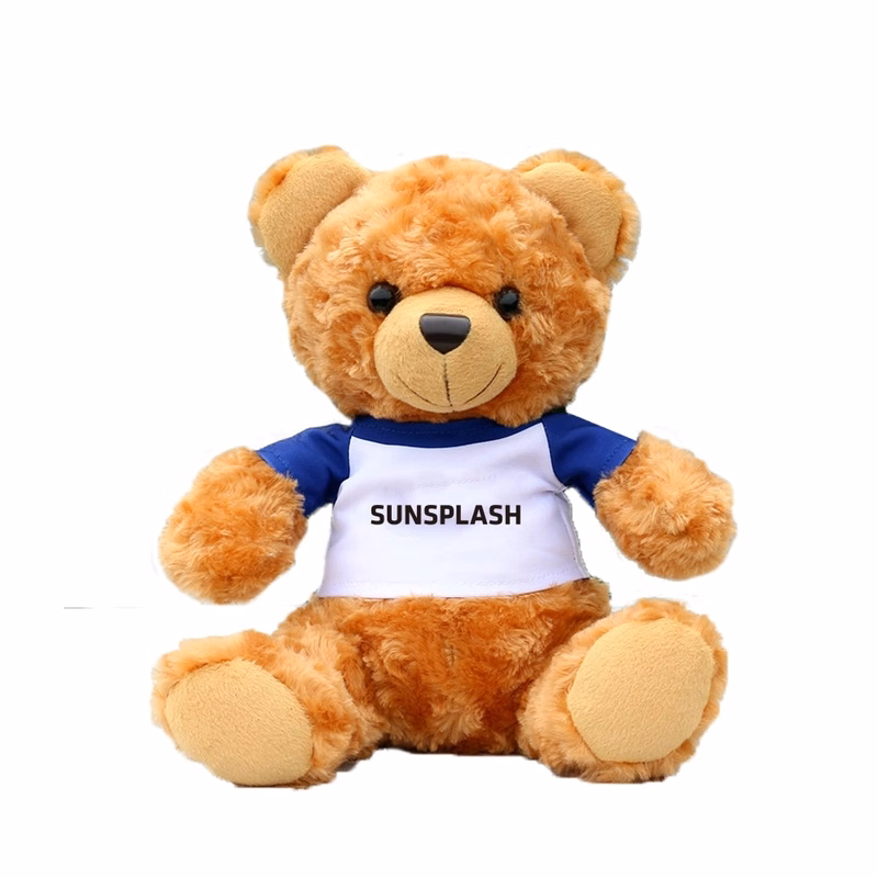 Plush Teddy Bear w/Choice of T-Shirt