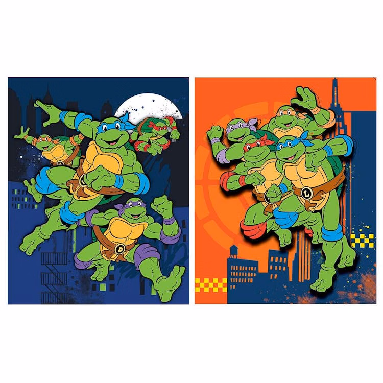 TMNT Portfolios - Assorted