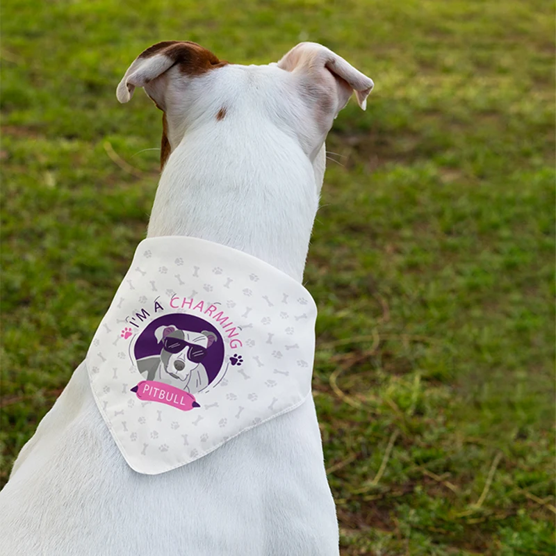 Pet Bandana Full Color 19x19 1