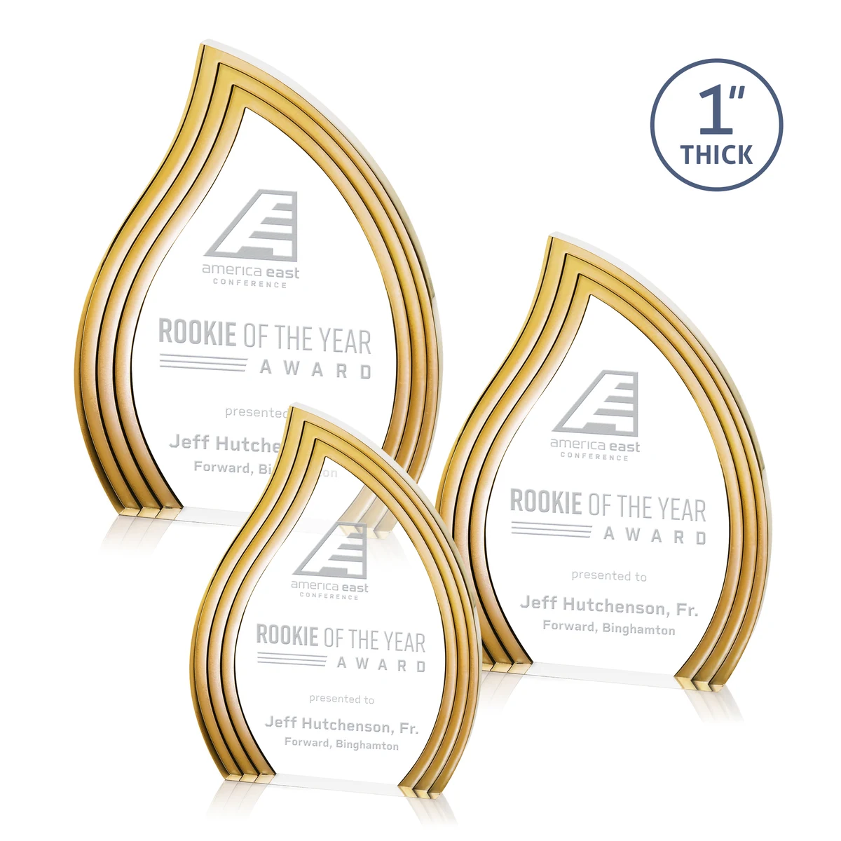 Tidworth Blaze Award - Gold 1