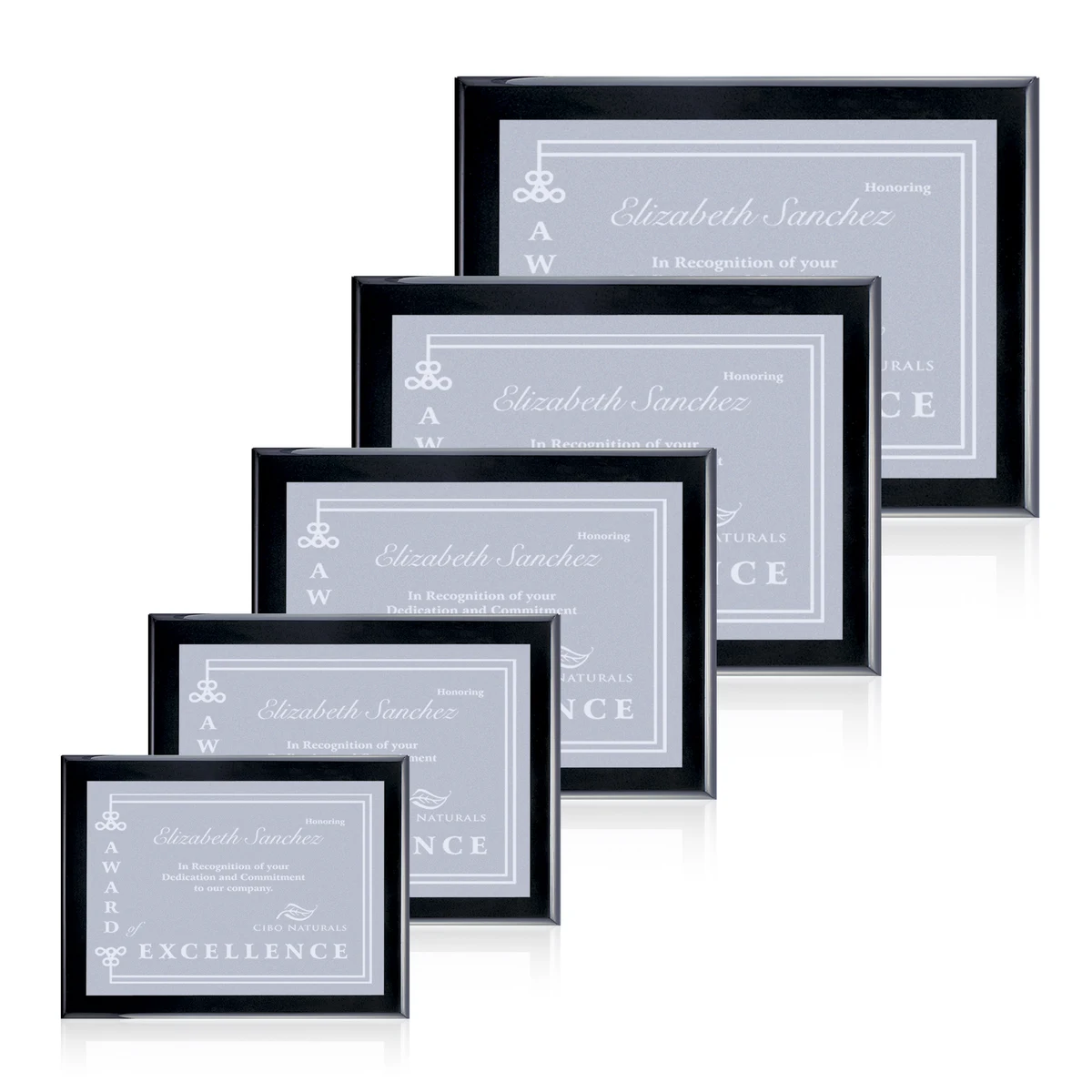 Oakleigh/Warden Plaque - Black Finish 1