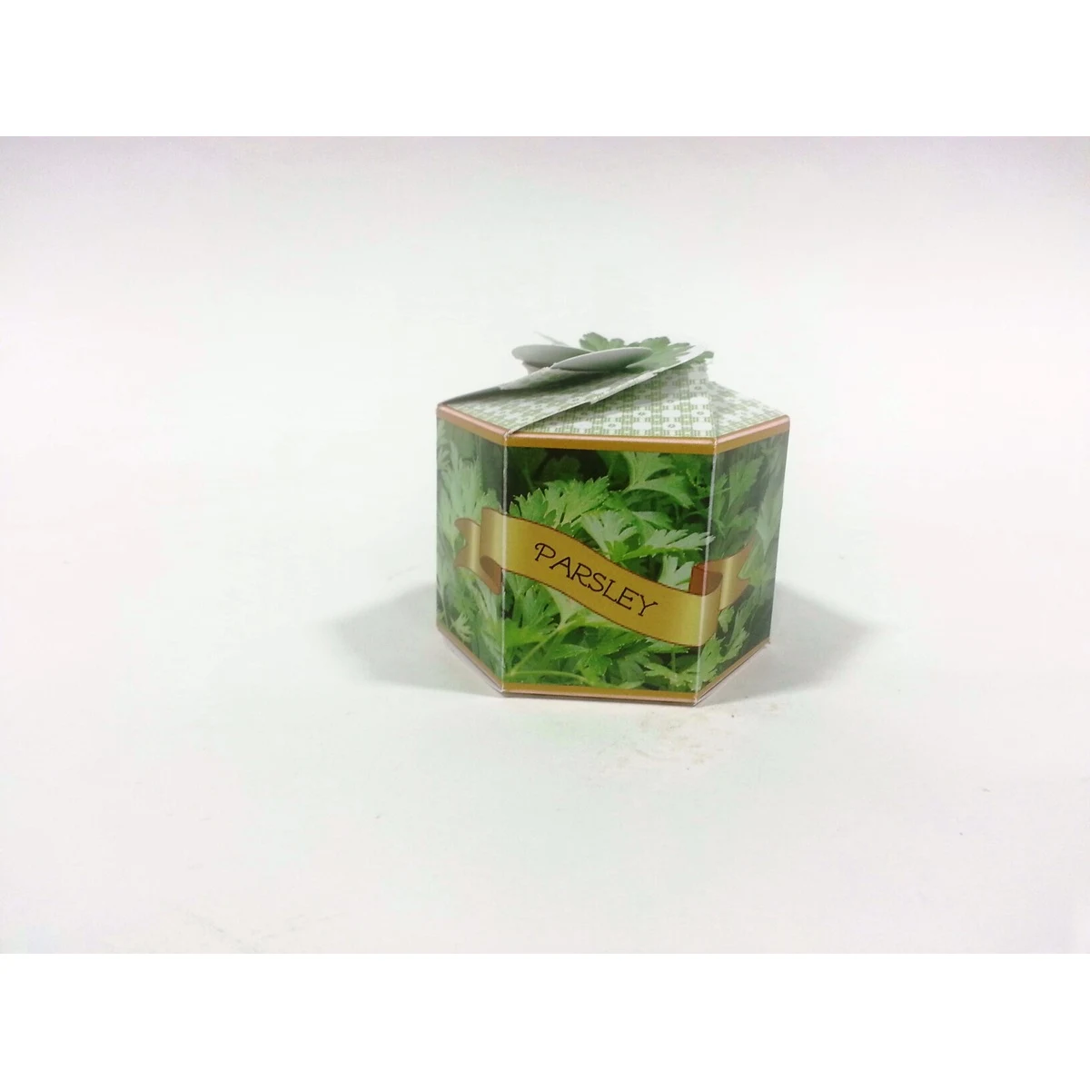 Parsley Herb SeedGems Paper Planter - Biodegradable grow kit 1