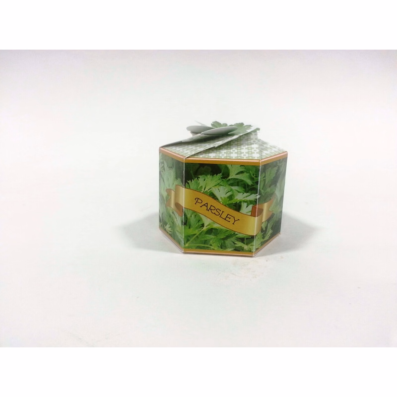 Parsley Herb SeedGems Paper Planter - Biodegradable grow kit
