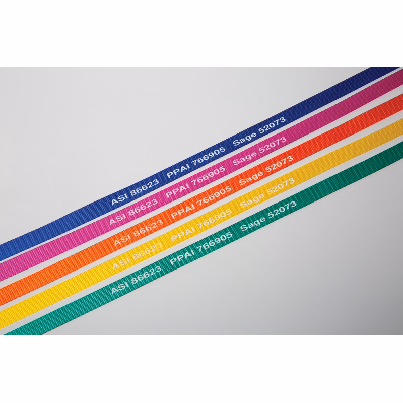 4' Neon Bright Pet Slip Leads 2-Sided