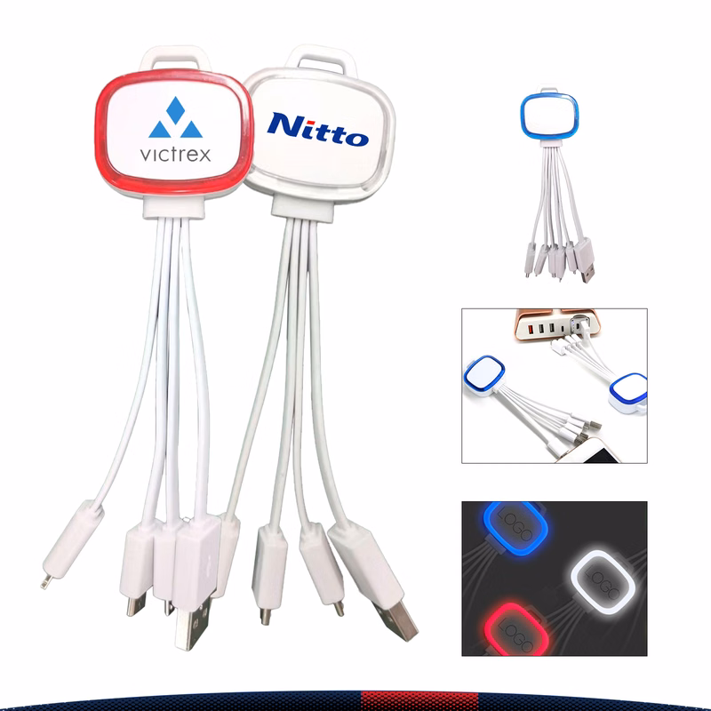 5in1 Keychain Charging Cable