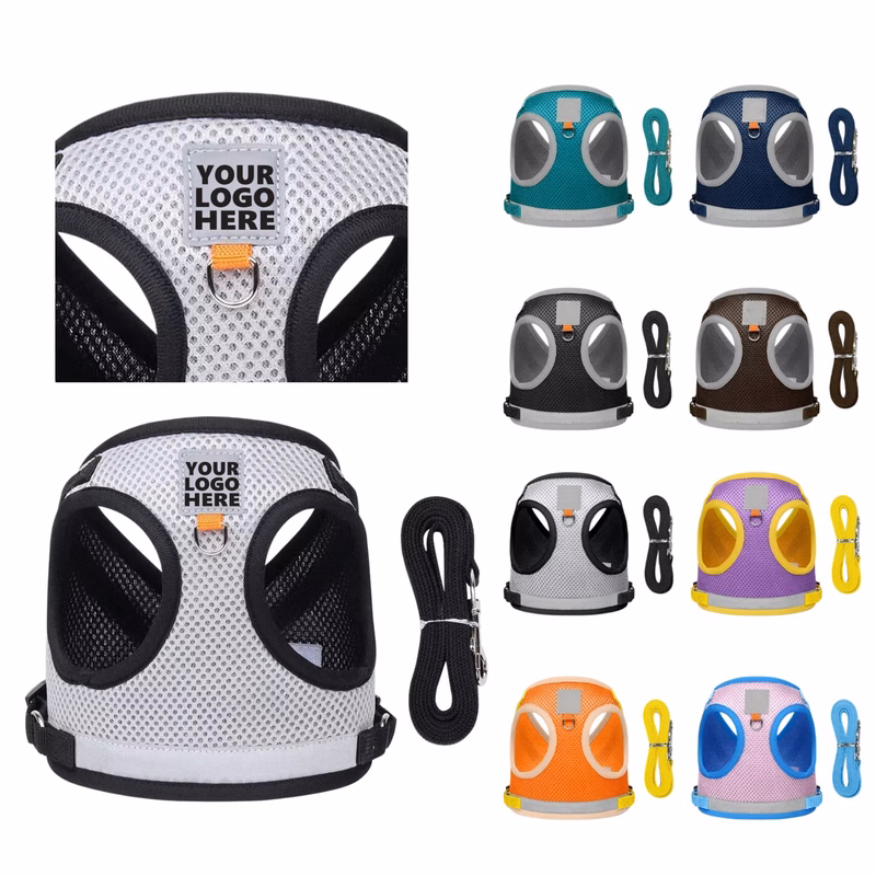 Night-Visible Pet Harness With Matching Leash Kit