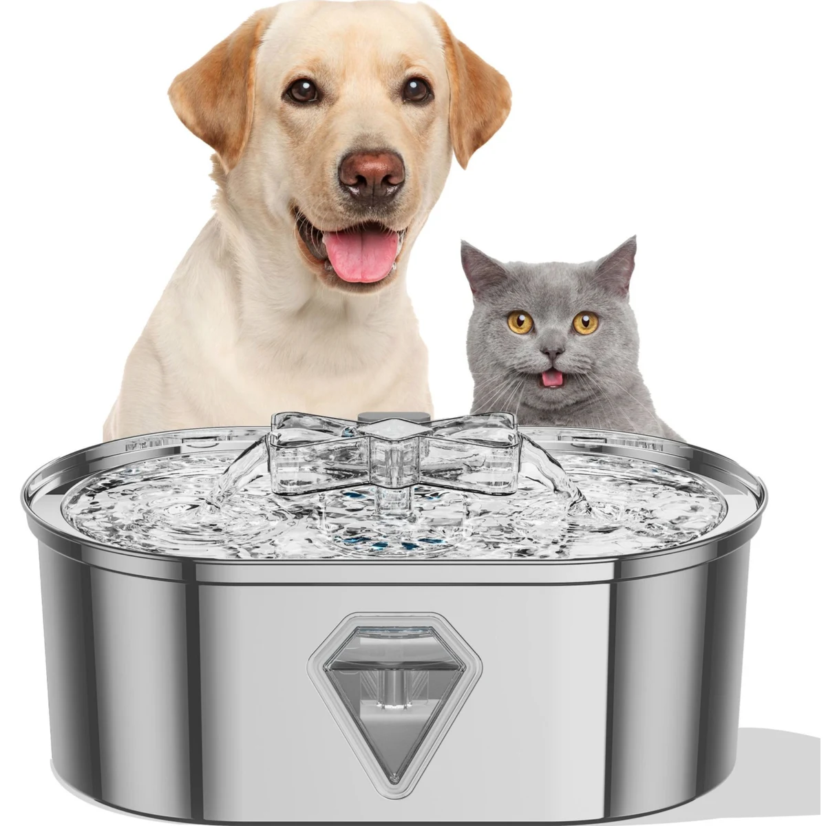 Cat Fountains 1