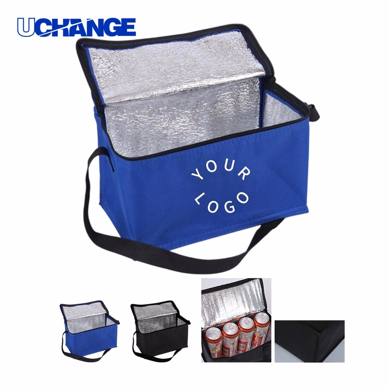 Oxford Insulated Tote Bag Cooler for Outings