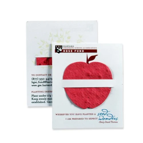 Lil' Bloomer Mini Gift Card 1